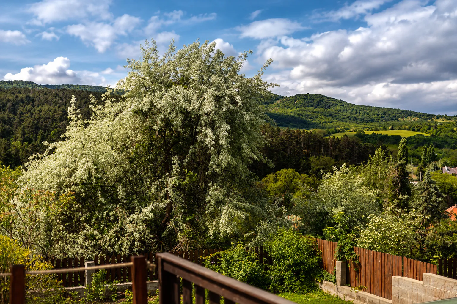 Pilisszentiván zöld panorámája